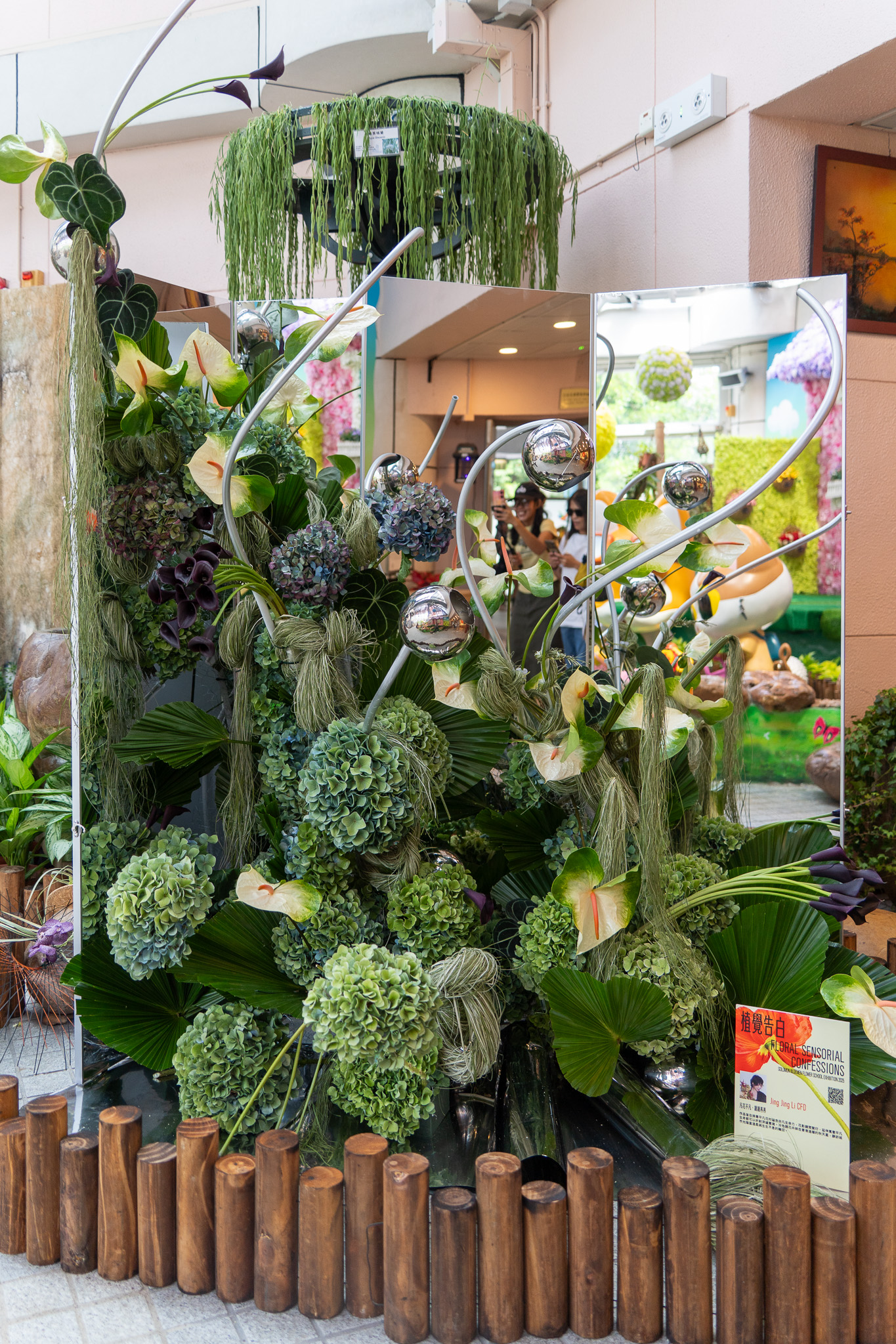 凡花不凡，鏡鏡苒苒 - Image 2